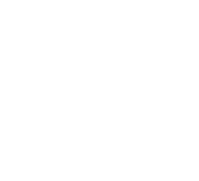 Villa Octopus Bobolin - villa & domki nad morzem